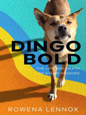 cover image of Dingo Bold